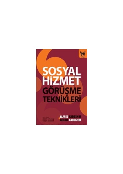 Sosyal Hizmet Görüşme Teknikleri