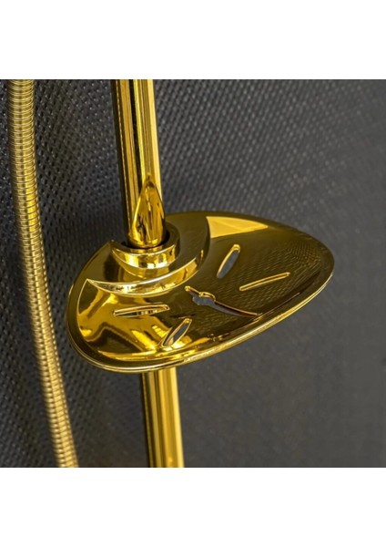 Gold Banyo Duş Robotu