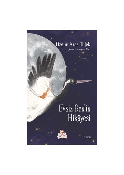 Evsiz Ben'in Hikayesi (Ciltli)