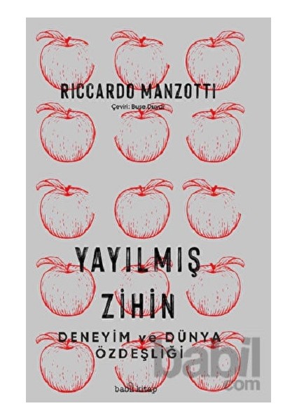 Yayılmış Zihin – Deneyim ve Dünya Özdeşliği