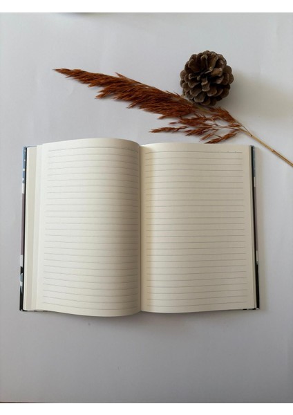 Atakids Lizy Sert Kapak Lastikli Çizgili Defter (20 × 14 Cm, 96 Yaprak) modelleri