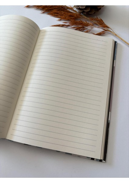 Atakids Lizy Sert Kapak Lastikli Çizgili Defter (20 × 14 Cm, 96 Yaprak)