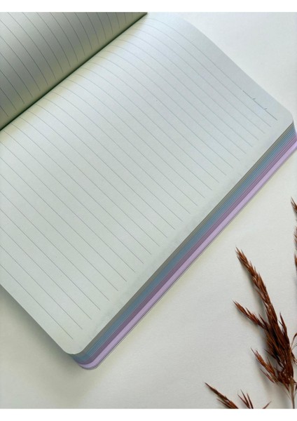Atakids Lizy Karton Kapak Renkli Sayfalı Çizgili Defter – 128 Sayfa / 21X15 cm