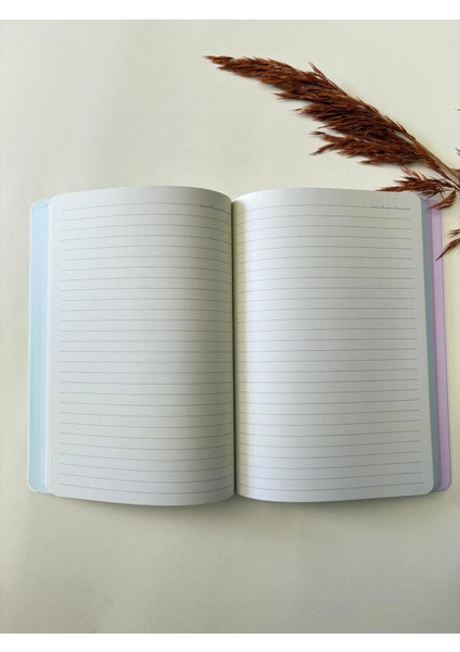 Atakids Lizy Karton Kapak Renkli Sayfalı Çizgili Defter – 128 Sayfa / 21X15 cm