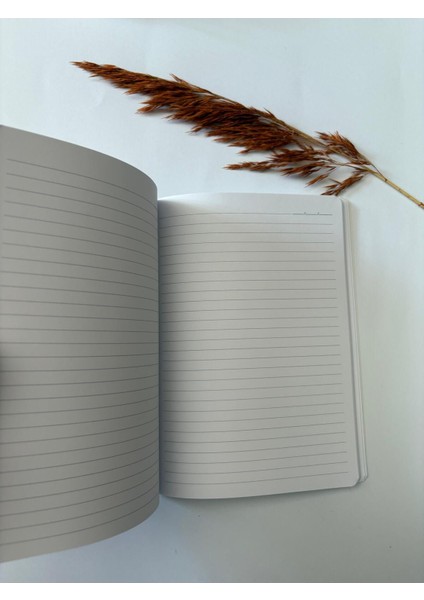 Atakids Lizy Çizgili Okul Not Defteri (15×21 Cm, 80 Yaprak) fiyatları