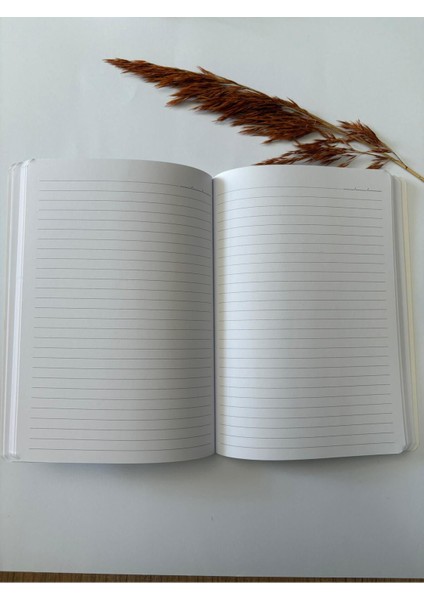 Atakids Lizy Çizgili Okul Not Defteri (15×21 Cm, 80 Yaprak) modelleri