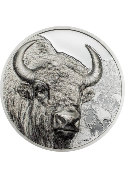 Agakulche Moğolistan Bizonu Gümüş Sikke Coin