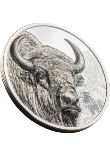 Agakulche Moğolistan Bizonu Gümüş Sikke Coin modelleri