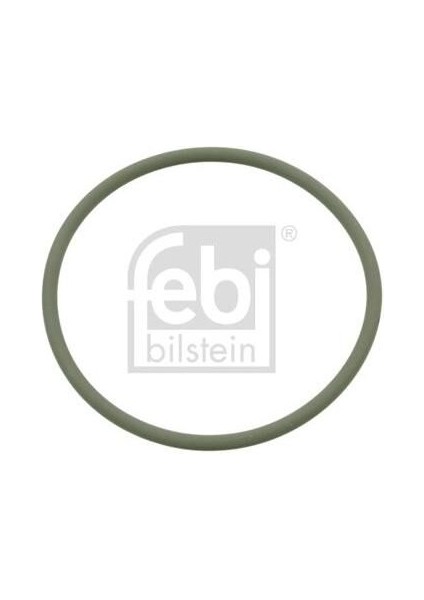 Oring Lkw renault-Volvo