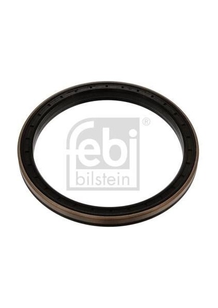 Porya Keçesi Arka Lkw Scania 4 F K P G R T