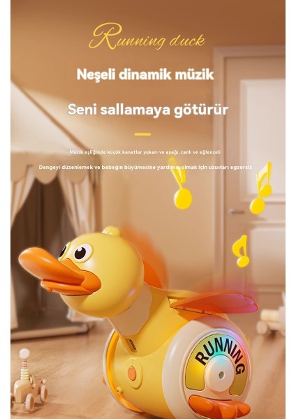Wanli Wanxiang Bomba Spin Ördek Puzzle Erken Eğitim Müzik Oyuncak (Yurt Dışından)