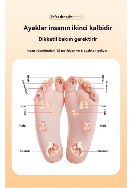 Ayak Masaj Yastığı Ev Süper Ağrılı Ayak Tabanı Yuvarlak Ayak Yastığı Ayak Basınç Plakası (Yurt Dışından) indirimleri