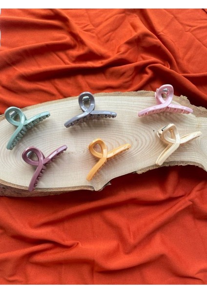 Renkli Fiyonk Mandal Toka 6'lı Set