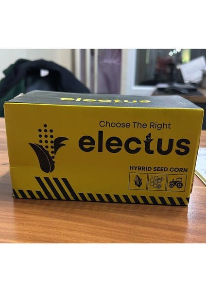 Electus Tatlı Mısır Tohumu – Açık Saha Uyumlu, Yüksek Verimli