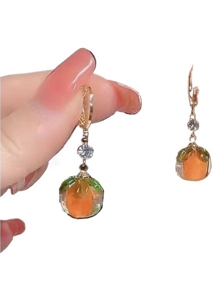 Kadın Küpeleri Üst Düzey Tasarım Hafif Lüks Mizaç (Yurt Dışından) fiyatları