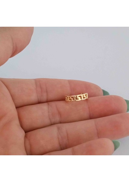 Pirinç Gold Labirent Kıkırdak Küpe fiyatları