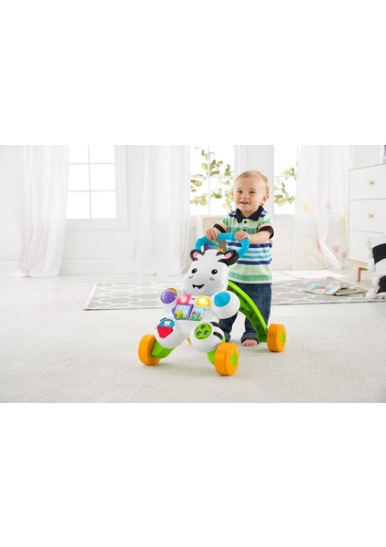 Fisher-Price® Melodili Zebra Yürüteç | DLD80 fiyatları
