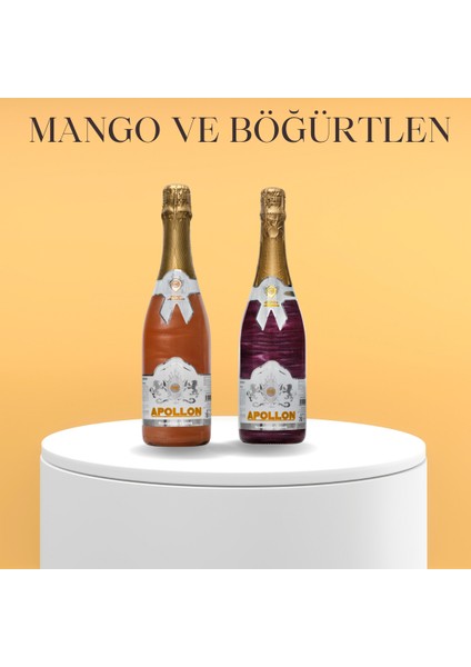 Böğürtlen ve Mango Aromalı Alkolsüz Renkli ve Simli - 1 Adet Böğürtlen ve 1 Adet Mango Aromalı Gazlı İçecek