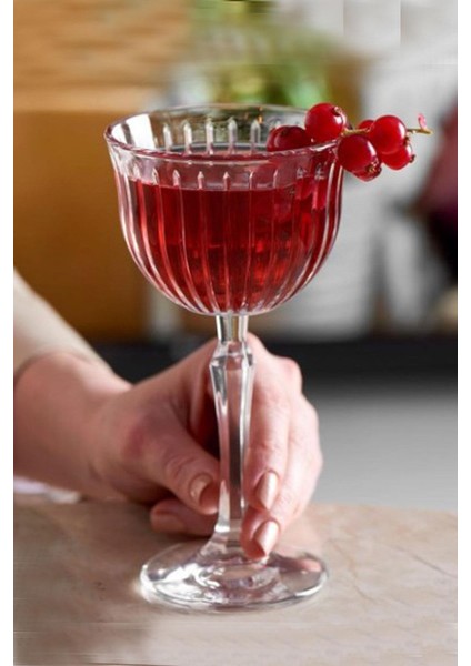 440290 Joy Cam Kadeh 170CC 4 Lü