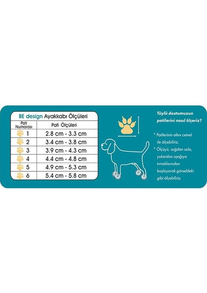 Fermuarlı Gri Yeşil Köpek Ayakkabısı No 4