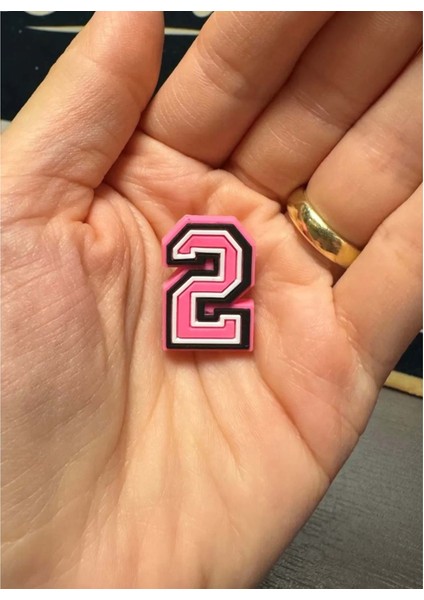 Terlik Süsü/pembe 2 Rakamı