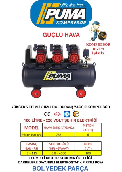100 Lt Yüksek Verimli Kompresör (Yağsız 6 Hp)