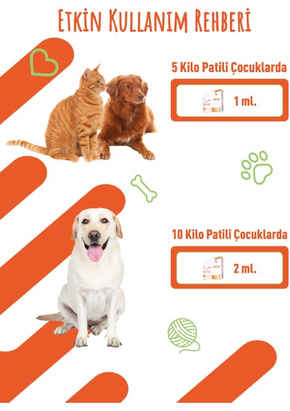 Dermacumin Plus 100ML Jel Köpekler İçin Cilt Enfeksiyonları Tedavi Desteği modelleri