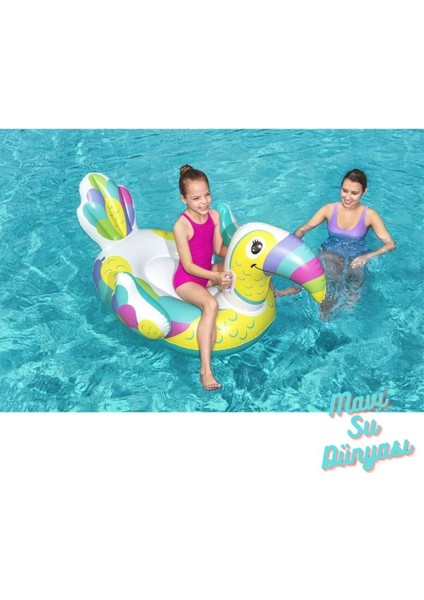 Papağan Binici Tutmalı 173 x 91 cm - Mavi Su Dünyası