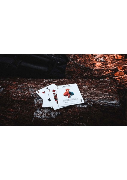 Peak 15 Luxury Pressed Oyun Iskambil Kartı indirimleri