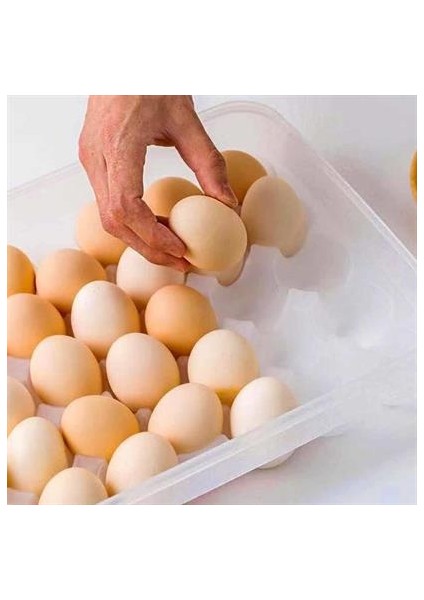 30LU Yumurta Saklama Kabı indirimleri