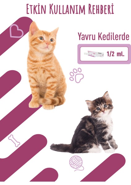 Felovir Plus 30ML Malt Kediler İçin İmmun Desteği modelleri