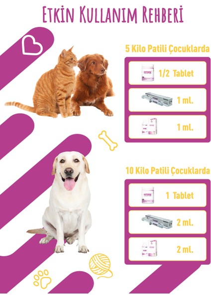 Phytospan Plus 100ML Jel Köpekler İçin Nefes Konforuna Katkı