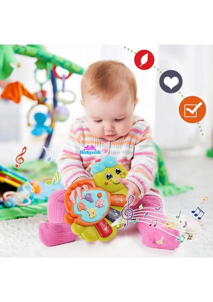 Yeşil Işıklı ve Müzikli Solucan Bebek Piyanosu modelleri