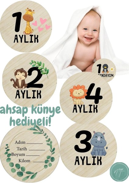 Hayvan Desenli Türkçe Aylık Plak Seti Bebek Fotoğraf Kartı Ahşap Bebek Anı Kartı doğan fiyatları