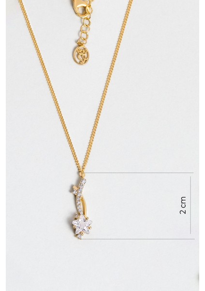 Şans Yıldızı 18 Ayar Sarı Altın Kaplama Gümüş Kolye modelleri