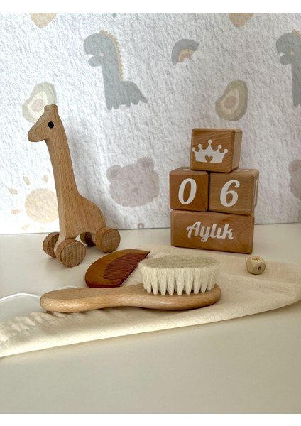 Bebek Anı Küpü ve Ahşap Dekor 4lü Set ,bebek Dekor Hediyelik