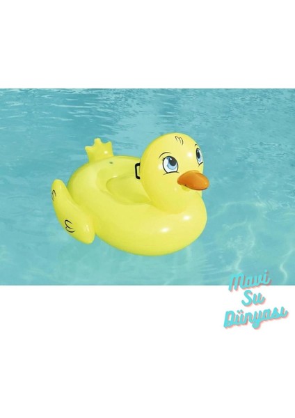 Civciv Binici 135 cm x 91 cm - Mavi Su Dünyası