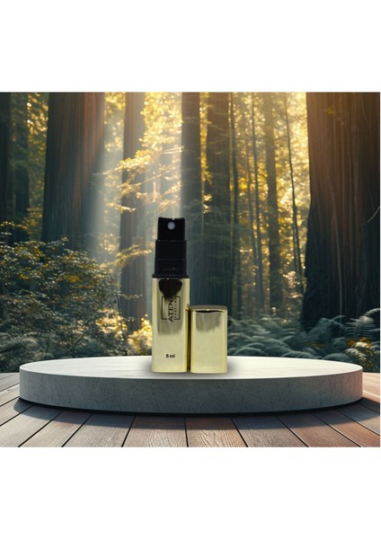 10 ml küçük taşınabilir şişe, pratik ve şık tasarım, altın renk, 5 adet