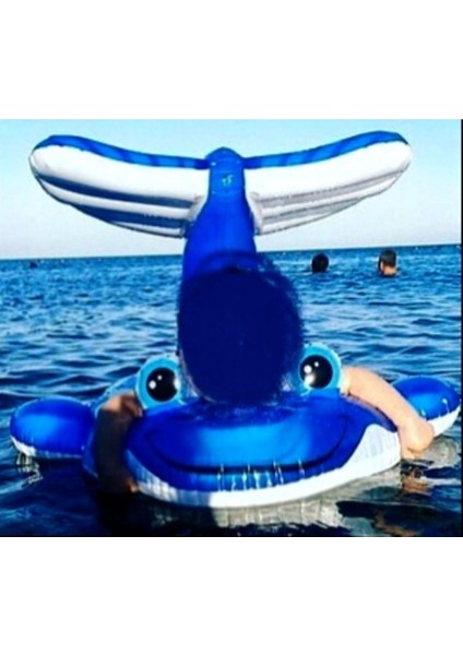 Gölgelik Li Balık Kano Bot Bebek Flotörü 1-4 Yaş modelleri