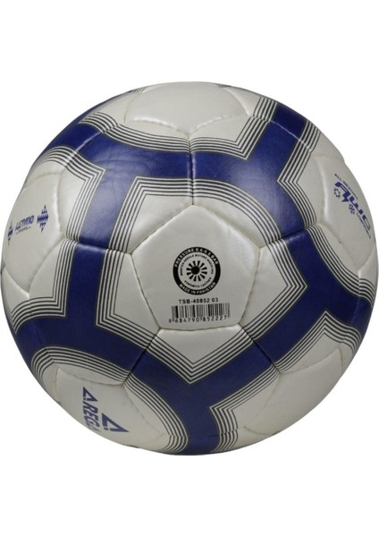 Futbol Antrenman Topu TSB-40852 03 fiyatları