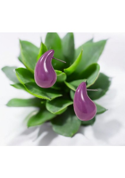 Kadın Pastel Tonlarda Bottega 9 Çift Küpe Seti fırsatları