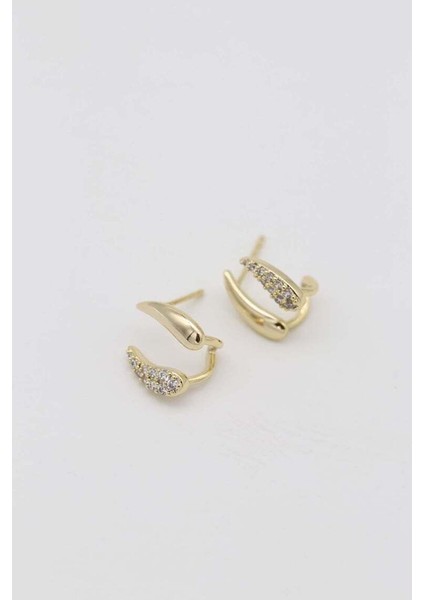 Shesra Vıp Küpe 14 K-10010 (10MM) fiyatları