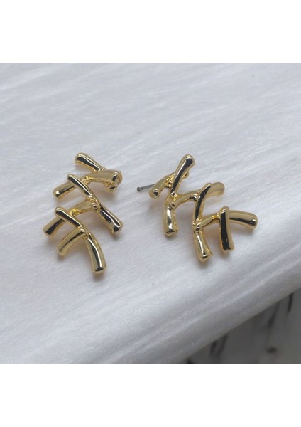 Kadın, Genç Japon Bambu Model Gold Renk Tasarım Küpe fiyatları