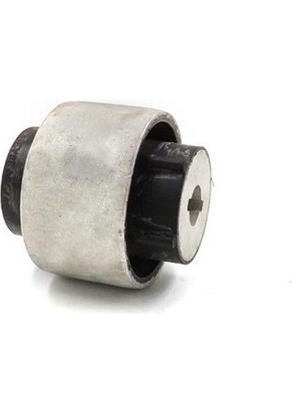 Salincak Burcu Focus Iv Dpmah