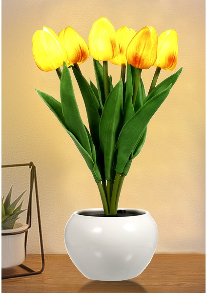Lale Lamba Iç Mekan Dekoratif Masa Lambası Saksı Lambası Ortam Gece Lambası Hediye Saksı Bitkisi (Yurt Dışından) fiyatları