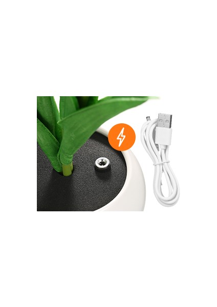 Lale Lamba Iç Mekan Dekoratif Masa Lambası Saksı Lambası Ortam Gece Lambası Hediye Saksı Bitkisi (Yurt Dışından) modelleri