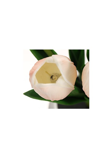 Lale Lamba Iç Mekan Dekoratif Masa Lambası Saksı Lambası Ortam Gece Lambası Hediye Saksı Bitkisi (Yurt Dışından) fırsatları