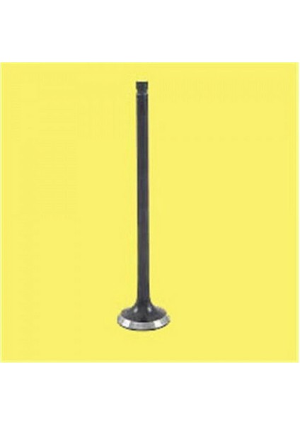 Subap Emme Egzoz Ford York 2.5 Turbo 0.5k 1752-20K/2 / 1758-20K Dpmah