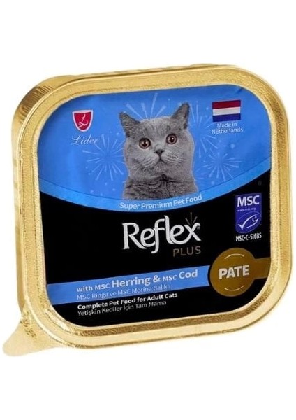 Pate Ringa ve Morina Balıklı Yetişkin Konserve Kedi M