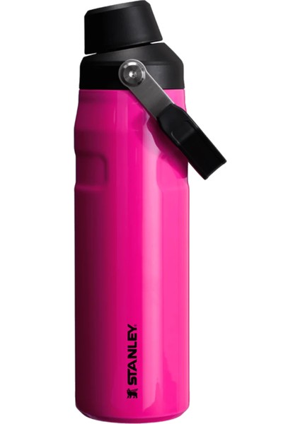 Iceflow Fast Flow Su Termosu 0.7 Lt Neon Pembe